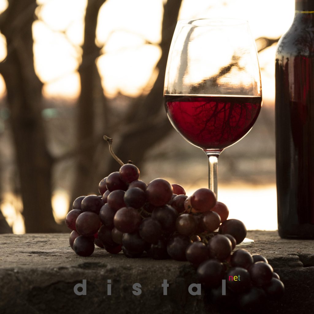 Catas de vino en Vinoteca Distalnet